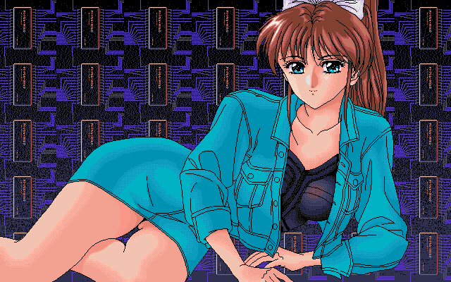 Metal & Lace: The Battle of the Robo Babes IBM PC/Compatibles Screenshot: Each opponent has multiple graphics you can unlock by winning fights.