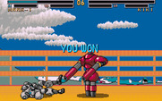 Metal & Lace: The Battle of the Robo Babes for IBM PC/Compatibles - I won!