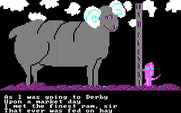 Hey Diddle Diddle for IBM PC/Compatibles - Going to the derby...