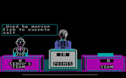 Game Show, The for IBM PC/Compatibles - Here's the clue...