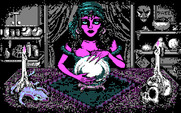 Les Manley in: Search for the King for IBM PC/Compatibles - Talking to the fortune teller.