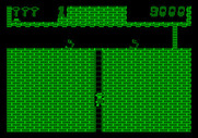 Montezuma's Revenge for Apple II - Climbing down a long ladder...