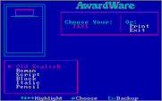 AwardWare for IBM PC/Compatibles - What type of text would you like?