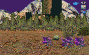 J.R.R. Tolkien's War in Middle Earth for IBM PC/Compatibles - Lots of orcs.