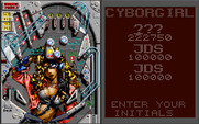 Cyborgirl for IBM PC/Compatibles - Game over, enter your initials...