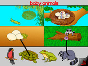 Bill Cosby's Picture Pages: Numbers and Shapes for IBM PC/Compatibles - Draw lines to match up animals to their mini-me's.