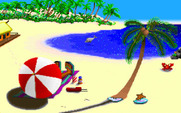 Headline Harry and The Great Paper Race for IBM PC/Compatibles - Relaxing on the beach...you'll need to get back to work soon!