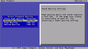 Enigma for IBM PC/Compatibles - Quality settings.