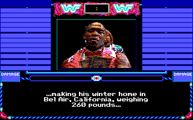 MicroLeague Wrestling IBM PC/Compatibles Screenshot: Here's the challenger...