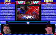 MicroLeague Wrestling for IBM PC/Compatibles - A view of the arena.