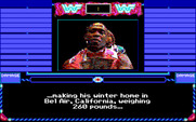 MicroLeague Wrestling for IBM PC/Compatibles - Here's the challenger...