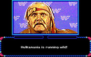 MicroLeague Wrestling for IBM PC/Compatibles - Hulkamania is running wild!