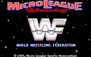 MicroLeague Wrestling for IBM PC/Compatibles - Title screen.
