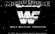MicroLeague Wrestling for IBM PC/Compatibles - Title screen.