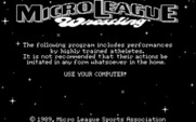 MicroLeague Wrestling for IBM PC/Compatibles - Kids, don't try this at home!