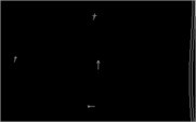 Posey Yacht Race Simulation for IBM PC/Compatibles - Ready to sail?