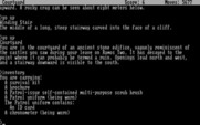 Planetfall for IBM PC/Compatibles - Here's what I have in inventory...