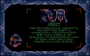 Strike II for IBM PC/Compatibles - There are four types of characters, each a little different...