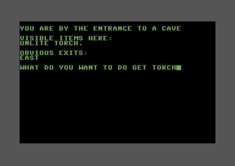 Adventure Pak Commodore 64 Screenshot: Castle Adventure - A torch! That could be useful.