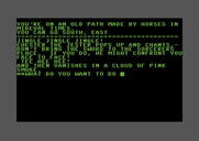 Adventure Pak for Commodore 64 - Sorcer's Castle - Game start.