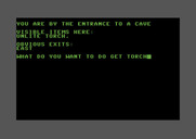 Adventure Pak for Commodore 64 - Castle Adventure - A torch! That could be useful.