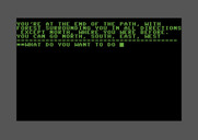 Adventure Pak for Commodore 64 - Sorcer's Castle - At the end of a path...