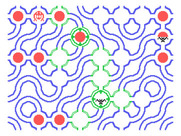 Hunt the Wumpus for TI-99/4A - You can optionally view the entire maze after you die.