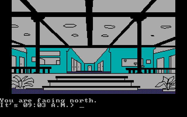 Alpine Encounter, The IBM PC/Compatibles Screenshot: Fancy place, no?
