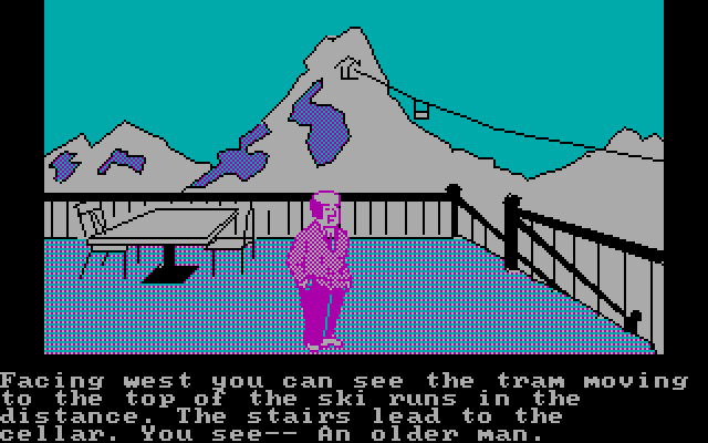 Alpine Encounter, The IBM PC/Compatibles Screenshot: Time to take in the slopes.