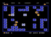 Pengo for Atari 8-bit - On the advanced level more Sno Bees appear at once.
