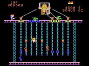 Donkey Kong Junior for ColecoVision - Push locks up towards the top on this screen.