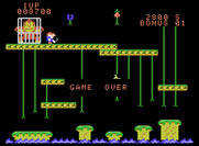 Donkey Kong Junior for ColecoVision - Game over.