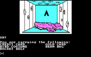 Asylum for IBM PC/Compatibles - Inventory screen.