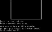 Asylum for IBM PC/Compatibles - Found a gold card...