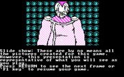 Asylum for IBM PC/Compatibles - Slide show continued...