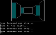 Asylum for IBM PC/Compatibles - This place is a maze! Which way to go?
