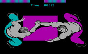 Boot Camp for IBM PC/Compatibles - I've almost won...