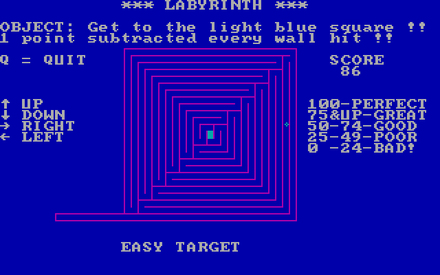 Labyrinth IBM PC/Compatibles Screenshot: Navigating through the "Easy Target" maze.