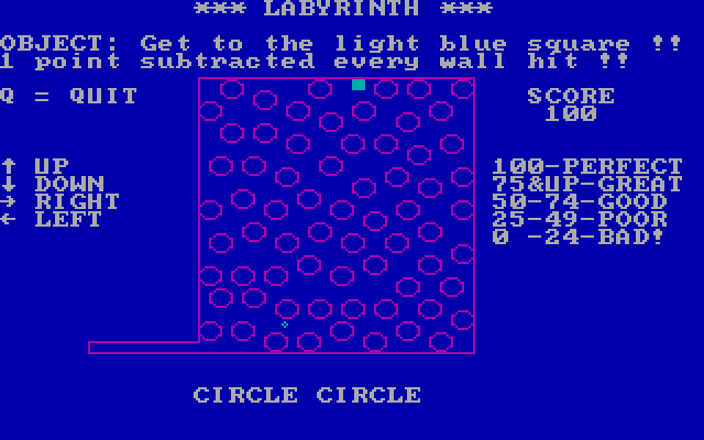 Labyrinth IBM PC/Compatibles Screenshot: Carefully navigating through circles...