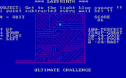Labyrinth for IBM PC/Compatibles - Diagonal paths make this maze rather tricky.