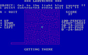 Labyrinth for IBM PC/Compatibles - Points are lost each time you touch a wall.