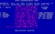 Labyrinth for IBM PC/Compatibles - Maze start; you lose points for touching the magenta maze walls.