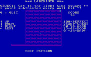 Labyrinth for IBM PC/Compatibles - The "Test Pattern" maze...