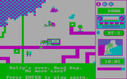Road Rally U.S.A. for IBM PC/Compatibles - Game over.