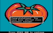 Market Place, The for IBM PC/Compatibles - You have been awarded the job of business manager!