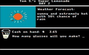 Market Place, The for IBM PC/Compatibles - The weather can affect sales...