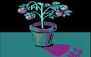 Market Place, The for IBM PC/Compatibles - Time to sell some plants!