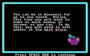 Market Place, The for IBM PC/Compatibles - Game instructions.