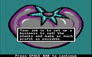 Market Place, The for IBM PC/Compatibles - Here's your job...