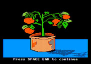 Market Place, The for Apple II - Get ready to sell tomatoe plants.